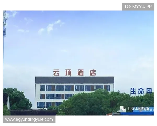 云顶端棋牌：提供公平公正赛事环境的可信赖线上棋牌网站