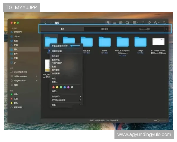 云顶集团新网址访问速度提升方法，优化浏览体验的实用技巧分享