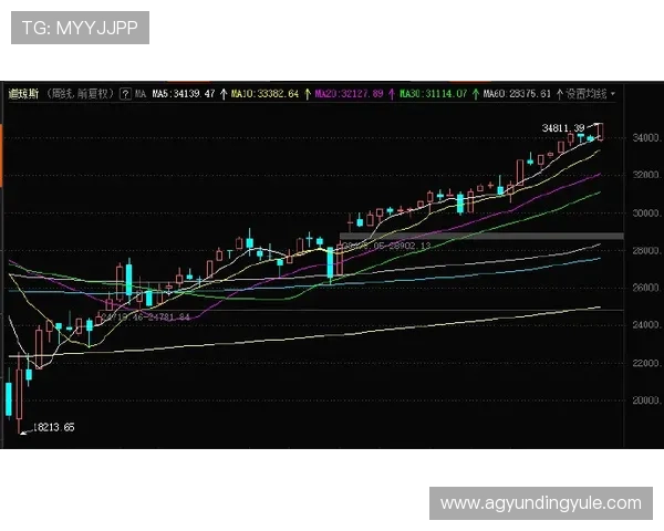 云顶公司名称大全：2024年最新企业命名趋势与热门公司名字推荐