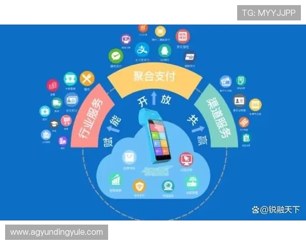 云顶官网支付方式，支持多种支付渠道保障玩家充值的便捷与安全