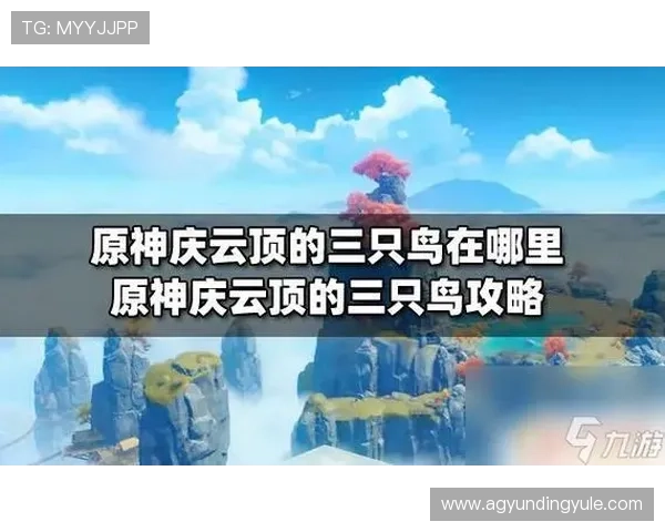 云顶国际平台怎么样:专业评测云顶国际平台的优惠政策、充值流程及提现速度优劣对比 云顶国际平台怎么样:专业评测云顶国际平台的优惠政策、充值流程及提现速度优劣对比