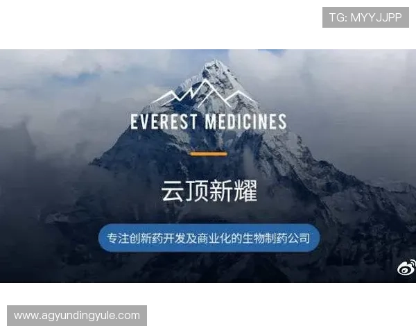 云顶新耀官网平台如何优化游戏体验提升玩家满意度的实用技巧