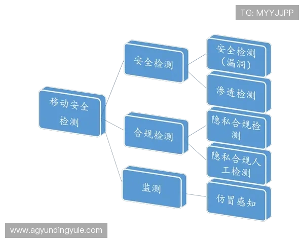 云顶游戏平台app安全保障措施详解,保障玩家账号信息安全与隐私保护 云顶游戏平台app安全保障措施详解,保障玩家账号信息安全与隐私保护