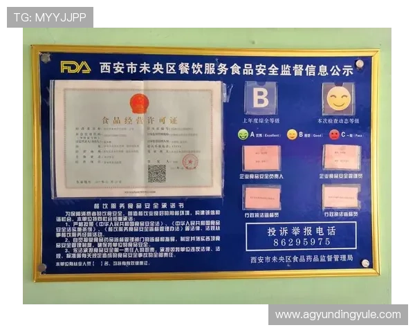 云顶登录网站安全保障措施，确保用户账号信息安全无忧