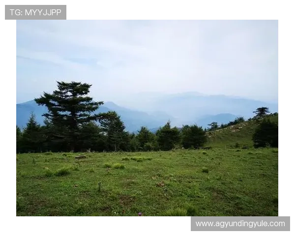 云顶山在哪儿？详细介绍云顶山的地理位置、交通便利性及旅游注意事项