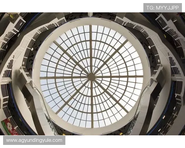 新云顶国际集团(澳门)有限公司：打造澳门多元化娱乐产业的核心力量