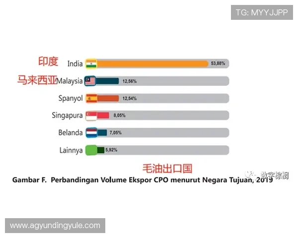 马来云顶赌城logo设计过程中常见的误区与优化建议指南
