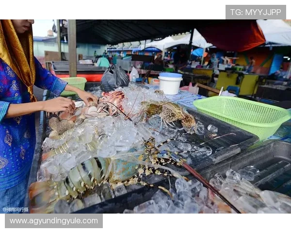 马来西亚赌场行业发展现状与未来趋势分析为投资者提供专业参考与市场洞察