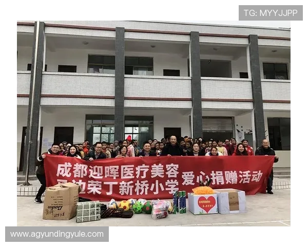 4008云顶最强阵容搭配指南详细介绍适合不同玩家的战术策略