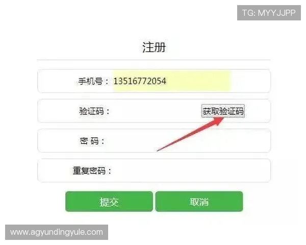 云顶娱乐城注册流程与新手指南帮助新玩家快速上手